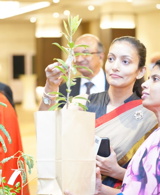 Gifting of fruit bearing plants signifying celebrating life related events