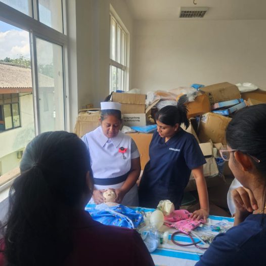 Capacity Building Workshop 2025 at Nikaweratiya