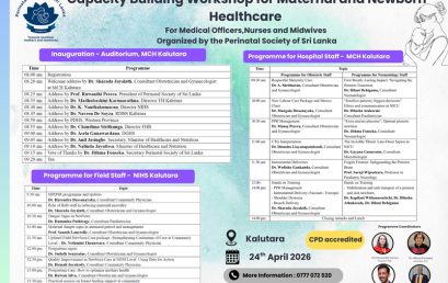 Capacity Building Workshop for Maternal and Newborn Healthcare