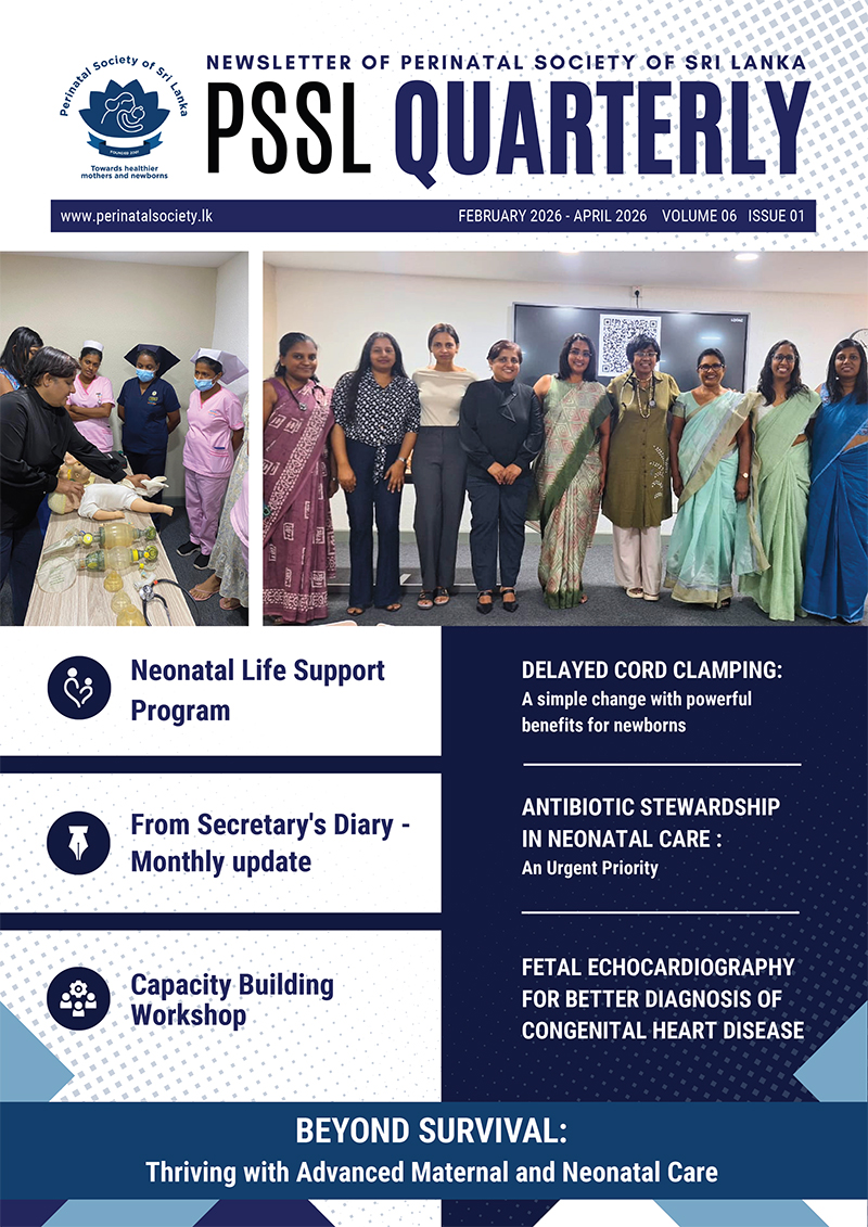 Newsletter Volume 06 Issue 01